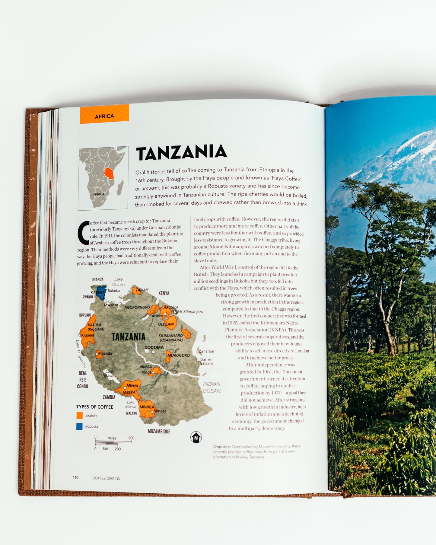 The World Atlas of Coffee - 2nd Edition