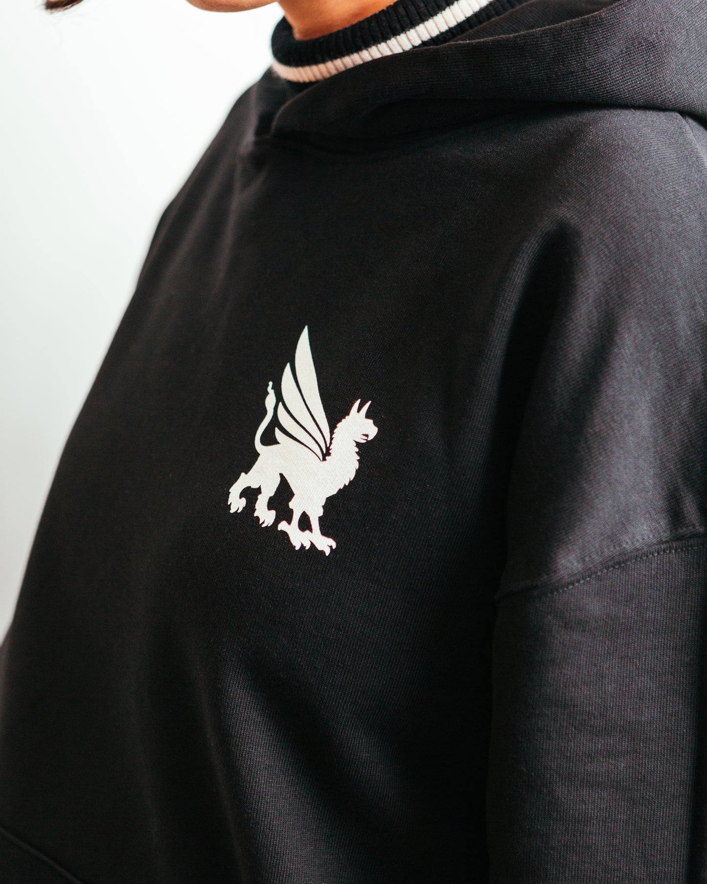 Little Griffin Hoodie