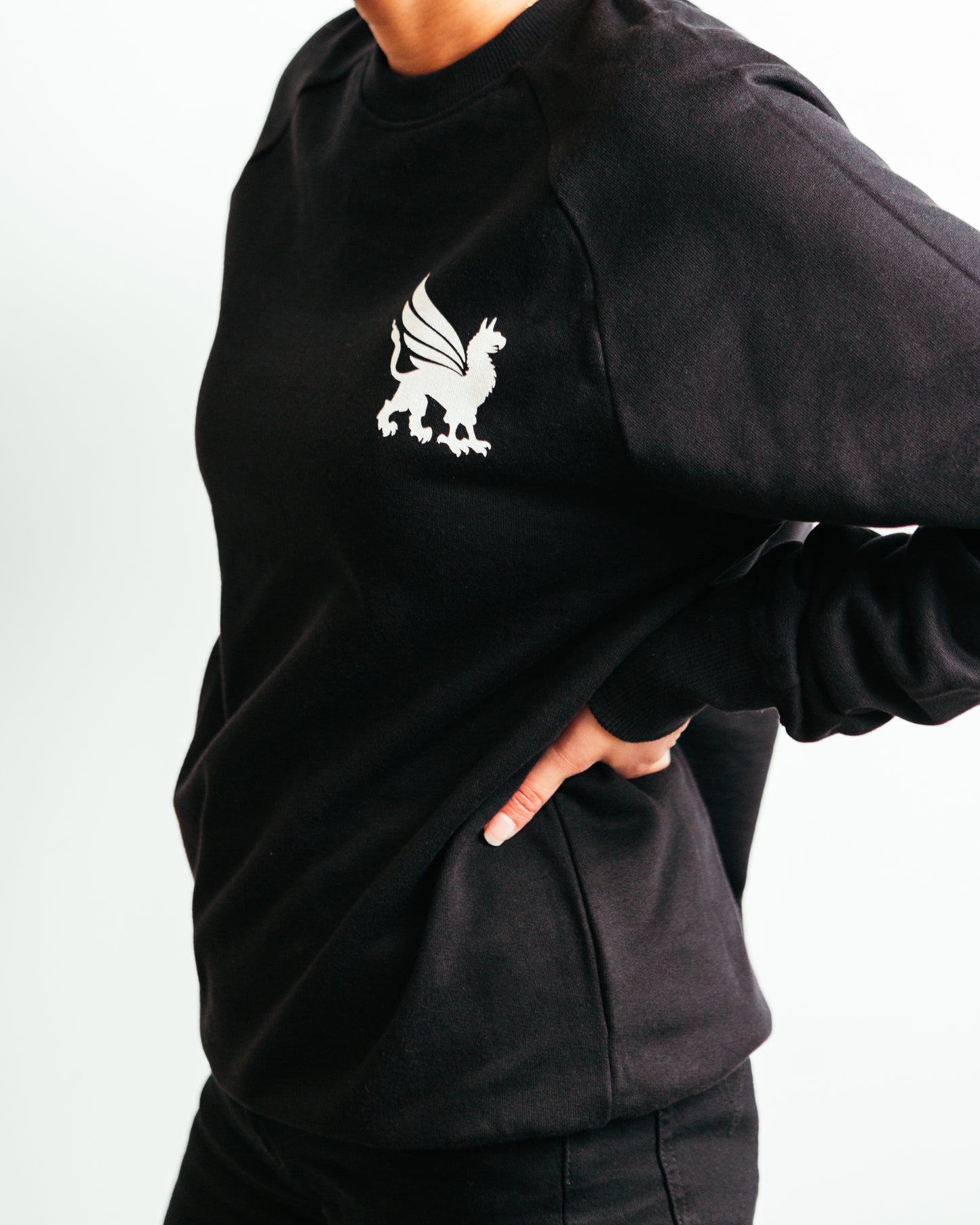 Little Griffin Crew Sweatshirt