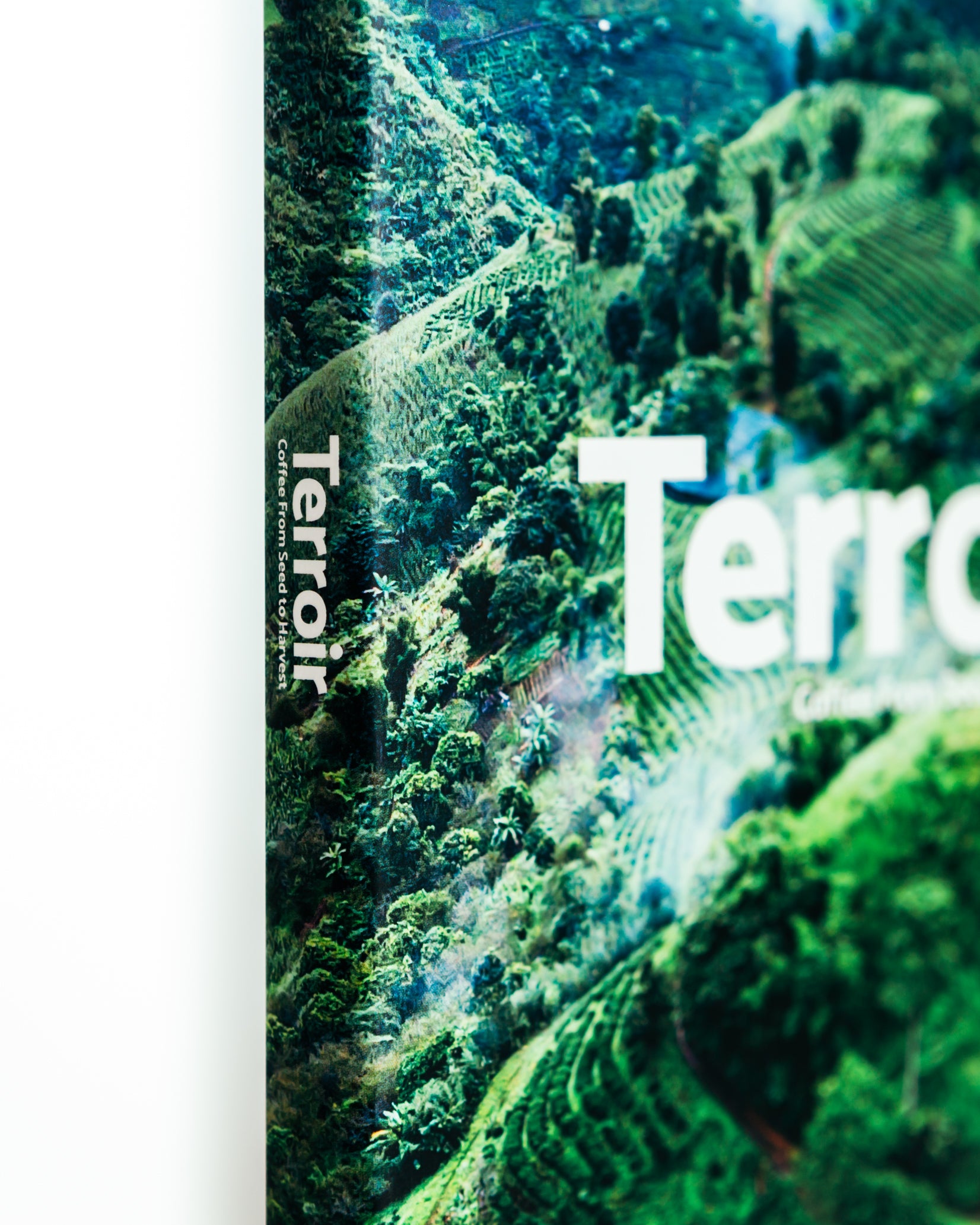 Terroir Coffee from Seed to Harvest – Square Mile Coffee