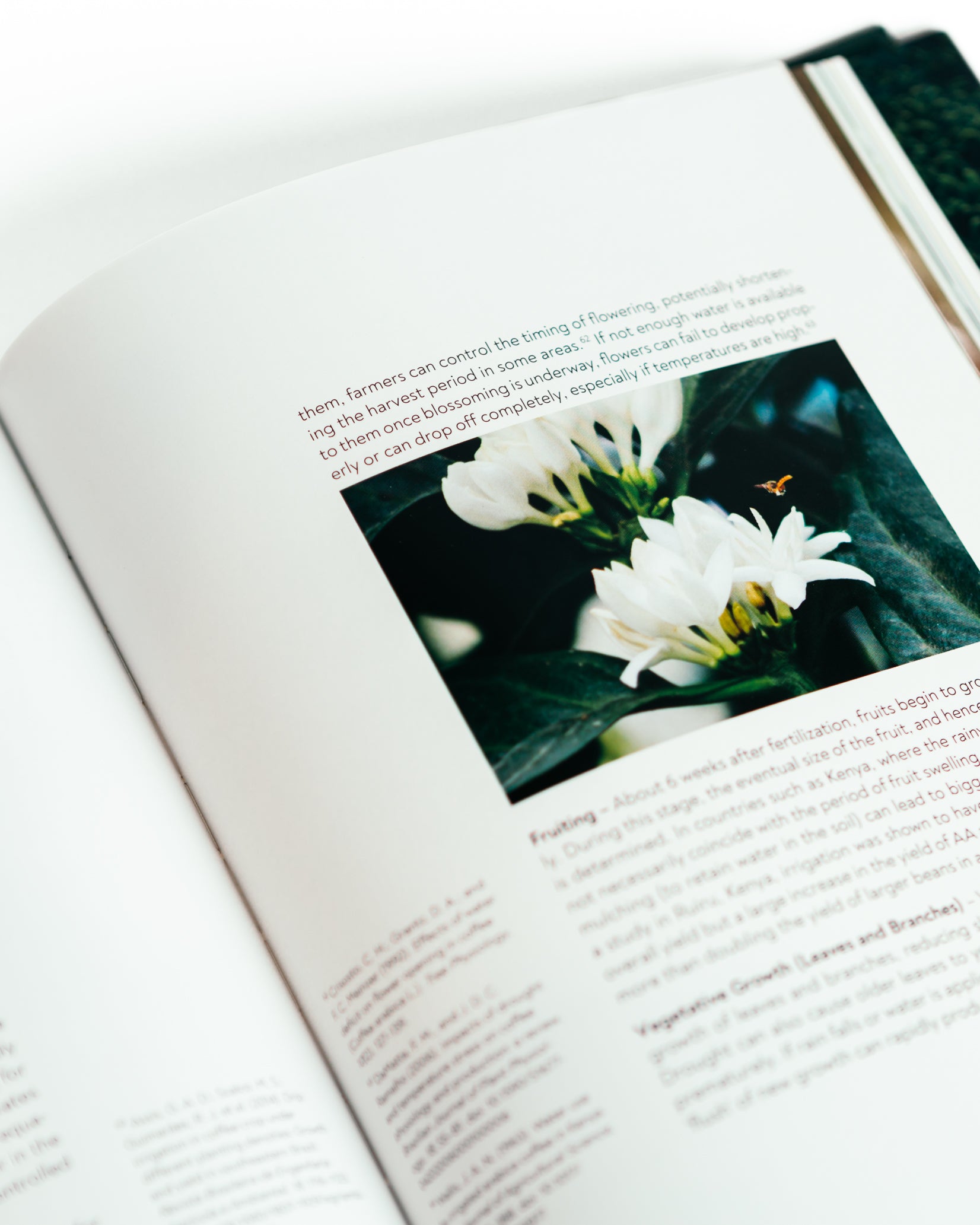 Terroir Coffee from Seed to Harvest – Square Mile Coffee